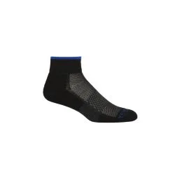 Icebreaker Multisport Light Mini Men