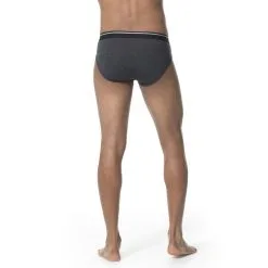 Icebreaker Anatomica Briefs Men -Tubbs Sales MFW16ANATOMICABRIEFS103031002465