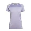 Icebreaker Motion Seamless SS Crewe Women -Tubbs Sales SS20 TRAINING WOMEN MOTION SEAMLESS SS CREWE 105012512 1
