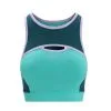 Icebreaker ZoneKnit Sport Bra Womens -Tubbs Sales fresh