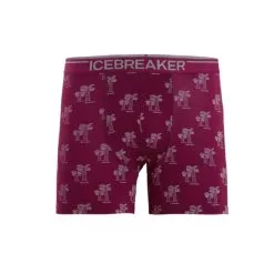 Icebreaker Anatomica Boxers Men 36 Icebreaker Anatomica Boxers Men -Tubbs Sales goberry