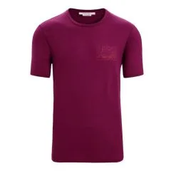 Icebreaker Tech Lite II SS Tee Mountain Sunset Mens